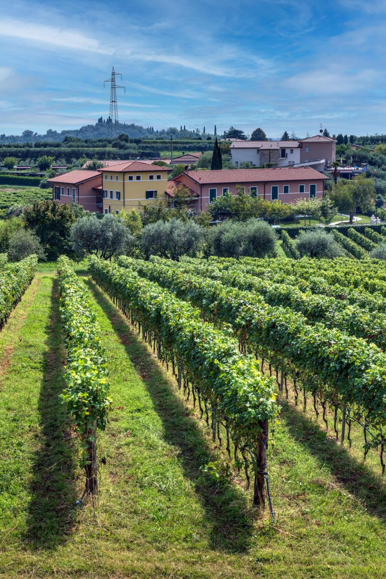 Tenuta Di Palu Bardolino Exterior photo